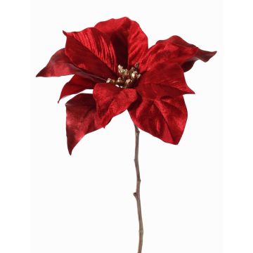 Velvet poinsettia SHEBA, red, 22"/55cm, Ø8"/21cm