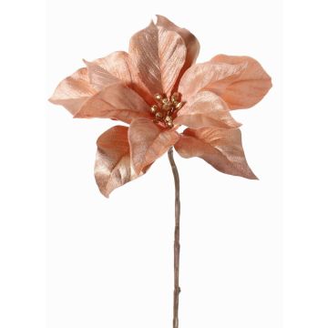 Velvet poinsettia SHEBA, salmon, 22"/55cm, Ø8"/21cm