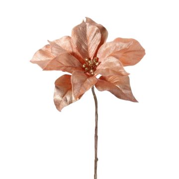 Velvet poinsettia SHEBA, salmon, 22"/55cm, Ø9.1"/23cm