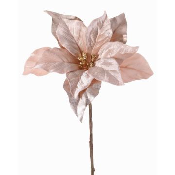 Velvet poinsettia SHEBA, light purple, 22"/55cm, Ø8"/21cm
