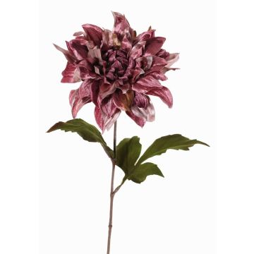 Velvet dahlia MINBU, dusky pink, 24"/60cm, Ø6.7"/17cm