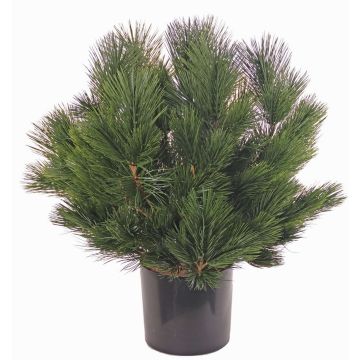 Fake pine shrub KARHA, crossdoor, green, 28"/70cm, Ø28"/70cm Fake pine shrub KARHA, crossdoor, green, 28"/70cm, Ø28"/70cm