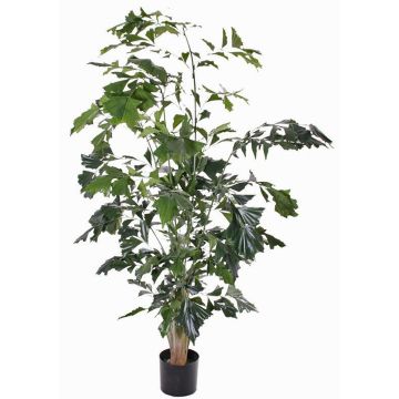 Fake fishtail palm JASNA, 6ft/190cm Fake fishtail palm JASNA, 6ft/190cm
