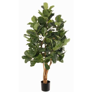 Fake tree Ficus lyrata TUNGA, natural trunks, green, 5ft/150cm Fake tree Ficus lyrata TUNGA, natural trunks, green, 5ft/150cm