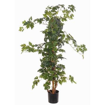 Artificial grape ivy RAMAN, natural trunks, green, 4ft/115cm Artificial grape ivy RAMAN, natural trunks, green, 4ft/115cm