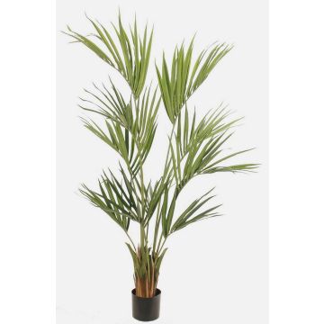 Artificial kentia palm PAIGE, 5ft/155cm