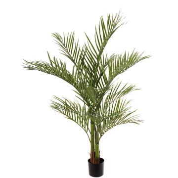 Fake Areca palm JUMBOLINO, 5ft/150cm Fake Areca palm JUMBOLINO, 5ft/150cm