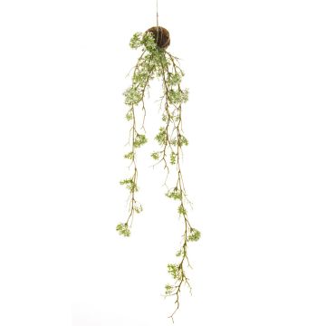 Artificial daisy hanging plant SIRIA on moss ball, white, 3ft/90cm Artificial daisy hanging plant SIRIA on moss ball, white, 3ft/90cm