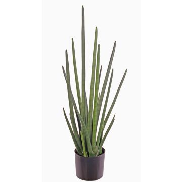 Artificial Sansevieria Cylindrica ASTARIA, green, 37"/95cm Artificial Sansevieria Cylindrica ASTARIA, green, 37"/95cm