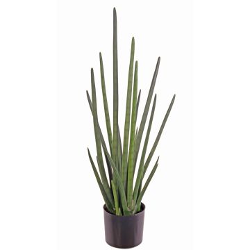 Artificial Sansevieria Cylindrica ASTARIA, green, 3ft/95cm Artificial Sansevieria Cylindrica ASTARIA, green, 3ft/95cm