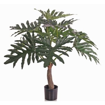 Artificial plant Philodendron Selloum DONIS, artificial trunk, 31"/80cm Artificial plant Philodendron Selloum DONIS, artificial trunk, 31"/80cm