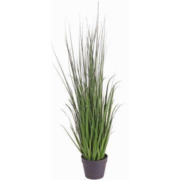 Artificial sedge grass ALEXANDRINA, green, 4ft/115cm Artificial sedge grass ALEXANDRINA, green, 4ft/115cm