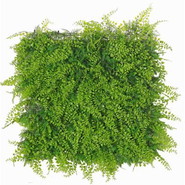 Artificial fern and cypress hedge / mat DIANTA, crossdoor, 20"x20"/50x50cm Artificial fern and cypress hedge / mat DIANTA, crossdoor, 20"x20"/50x50cm