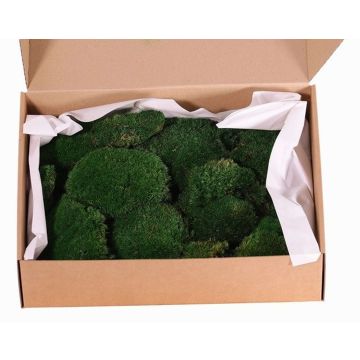 Natural layers of moss for decorating DIMITRA, green, 800g, 0.15 m² Natural layers of moss for decorating DIMITRA, green, 800g, 0.15 m²