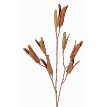 Artificial lily seed spray ELFIDA, brown, 31"/80cm, Ø0.8"-1.2"/2-3cm Artificial lily seed spray ELFIDA, brown, 31"/80cm, Ø0.8"-1.2"/2-3cm