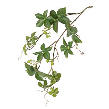Artificial Virginia creeper spray AMYCUS, fruits, green, 31"/80cm