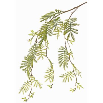 Artificial mimosa spray ELPIDA, green, 4ft/110cm Artificial mimosa spray ELPIDA, green, 4ft/110cm
