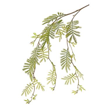 Artificial mimosa spray ELPIDA, green, 4ft/110cm