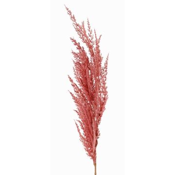 Artificial branch pampas grass panicle ERATO, pink, 3ft/100cm Artificial branch pampas grass panicle ERATO, pink, 3ft/100cm