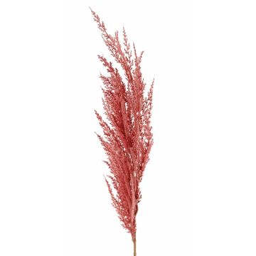 Artificial branch Pampas grass panicle ERATO, pink, 3ft/100cm