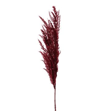 Artificial branch Pampas grass panicle ERATO, burgundy, 3ft/100cm