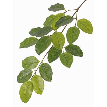 Artificial Banyan fig spray ERASMOS, flame retardant, green, 31"/80cm Artificial Banyan fig spray ERASMOS, flame retardant, green, 31"/80cm