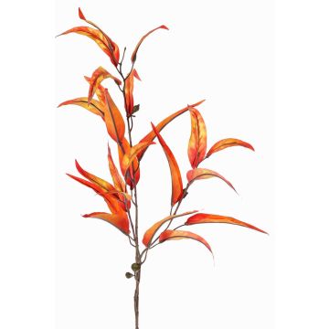 False eucalyptus spray EUSEBIOS, orange-yellow, 3ft/100cm False eucalyptus spray EUSEBIOS, orange-yellow, 3ft/100cm