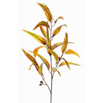 False eucalyptus spray EUSEBIOS, yellow-orange, 3ft/100cm False eucalyptus spray EUSEBIOS, yellow-orange, 3ft/100cm