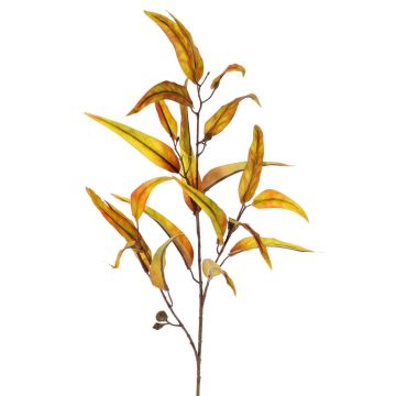 False eucalyptus spray EUSEBIOS, yellow-orange, 3ft/100cm False eucalyptus spray EUSEBIOS, yellow-orange, 3ft/100cm