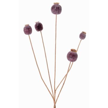 Artificial poppy capsule FILOMELA, dark brown, 30"/75cm, Ø0.8"-1.4"/2-3.5cm Artificial poppy capsule FILOMELA, dark brown, 30"/75cm, Ø0.8"-1.4"/2-3.5cm