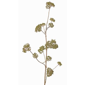False viburnum GALAXINA, green, 4ft/120cm, Ø1.6"-3.5"/4-9cm False viburnum GALAXINA, green, 4ft/120cm, Ø1.6"-3.5"/4-9cm