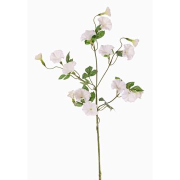 Artificial morning glory IORDANIS, white, 31"/80cm, Ø1.2"-2.2"/3-5.5cm Artificial morning glory IORDANIS, white, 31"/80cm, Ø1.2"-2.2"/3-5.5cm