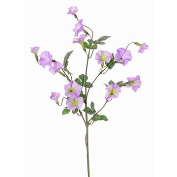 Artificial morning glory IORDANIS, purple-green, 31"/80cm, Ø1.2"-2.2"/3-5.5cm Artificial morning glory IORDANIS, purple-green, 31"/80cm, Ø1.2"-2.2"/3-5.5cm