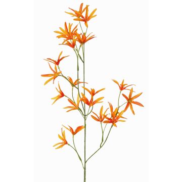Artificial flower Tweedia solanoides PALLAS, orange, 28"/70cm, Ø2"/5cm Artificial flower Tweedia solanoides PALLAS, orange, 28"/70cm, Ø2"/5cm