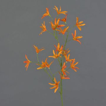 Artificial flower Tweedia solanoides PALLAS, orange, 30"/75cm, Ø2"/5cm