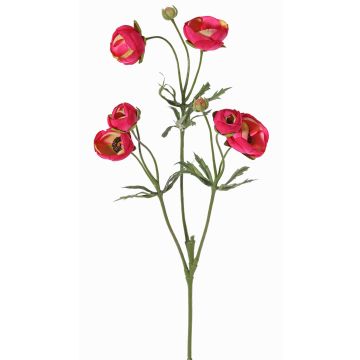 False ranunculus YARIS, fuchsia-green, 26"/65cm, Ø1.2"-1.8"/3-4.5cm False ranunculus YARIS, fuchsia-green, 26"/65cm, Ø1.2"-1.8"/3-4.5cm