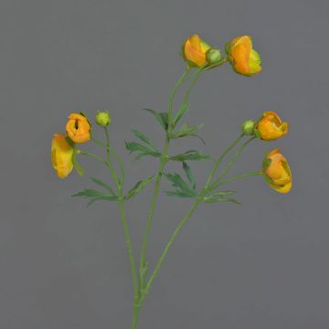 False ranunculus YARIS, yellow-orange, 26"/65cm, Ø1,2"-1.8"/3-4,5cm False ranunculus YARIS, yellow-orange, 26"/65cm, Ø1,2"-1.8"/3-4,5cm
