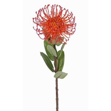 Artificial protea BAILY, orange, 22"/55cm, Ø3.9"/10cm Artificial protea BAILY, orange, 22"/55cm, Ø3.9"/10cm