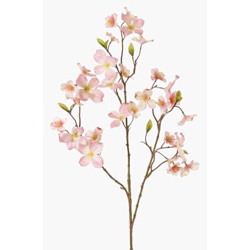 Artificial flower dogwood NARIUS with blossoms, pink-white, 31"/80cm, Ø1.6"-2.8"/4-7cm Artificial flower dogwood NARIUS with blossoms, pink-white, 31"/80cm, Ø1.6"-2.8"/4-7cm