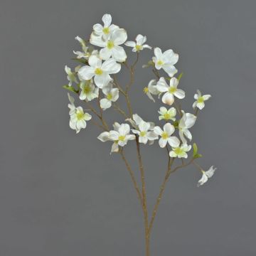 Artificial flower dogwood NARIUS with blossoms, cream, 33"/85cm