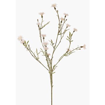 Artificial flower cornflower ZENOBIOS, cream, 31"/80cm, Ø1.2"-1.6"/3-4cm Artificial flower cornflower ZENOBIOS, cream, 31"/80cm, Ø1.2"-1.6"/3-4cm