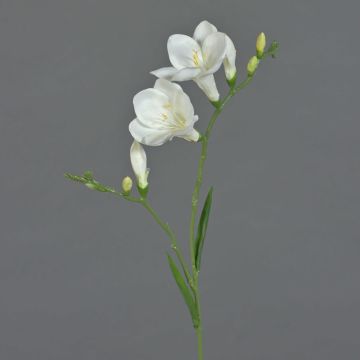Synthetic freesia MARUSHA, white, 26"/65cm, Ø2.8"/7cm Synthetic freesia MARUSHA, white, 26"/65cm, Ø2.8"/7cm