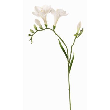 Synthetic freesia MARUSHA, white, 28"/70cm, Ø2.4"/6cm Synthetic freesia MARUSHA, white, 28"/70cm, Ø2.4"/6cm