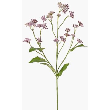 Artificial Eupatorium (Boneset) KORALIA, purple, violet, 31"/80cm, Ø1.6"-2.8"/4-7cm Artificial Eupatorium (Boneset) KORALIA, purple, violet, 31"/80cm, Ø1.6"-2.8"/4-7cm