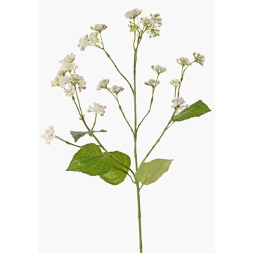 Artificial Eupatorium (Boneset) KORALIA, cream, 31"/80cm, Ø1.6"-2.8"/4-7cm Artificial Eupatorium (Boneset) KORALIA, cream, 31"/80cm, Ø1.6"-2.8"/4-7cm