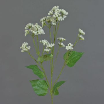 Artificial Eupatorium (Boneset) KORALIA, cream, 31"/80cm