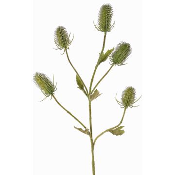 Fake wild teasel spray (Dipsacus) KASTANIA, green, 35"/90cm Fake wild teasel spray (Dipsacus) KASTANIA, green, 35"/90cm