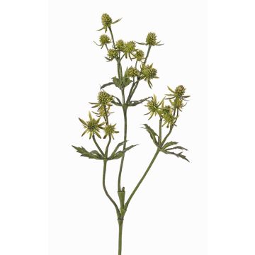 Artificial flower thistle (Eryngium) KALYPSO, green, 26"/65cm, Ø1.2"-1.6"/3-4cm Artificial flower thistle (Eryngium) KALYPSO, green, 26"/65cm, Ø1.2"-1.6"/3-4cm