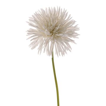 Fake chrysanthemum NANDITA, white, 24"/60cm, Ø5.9"/15cm Fake chrysanthemum NANDITA, white, 24"/60cm, Ø5.9"/15cm