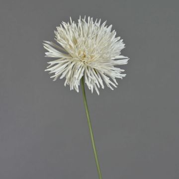 Fake chrysanthemum NANDITA, white, 24"/60cm, Ø6"/15cm Fake chrysanthemum NANDITA, white, 24"/60cm, Ø6"/15cm